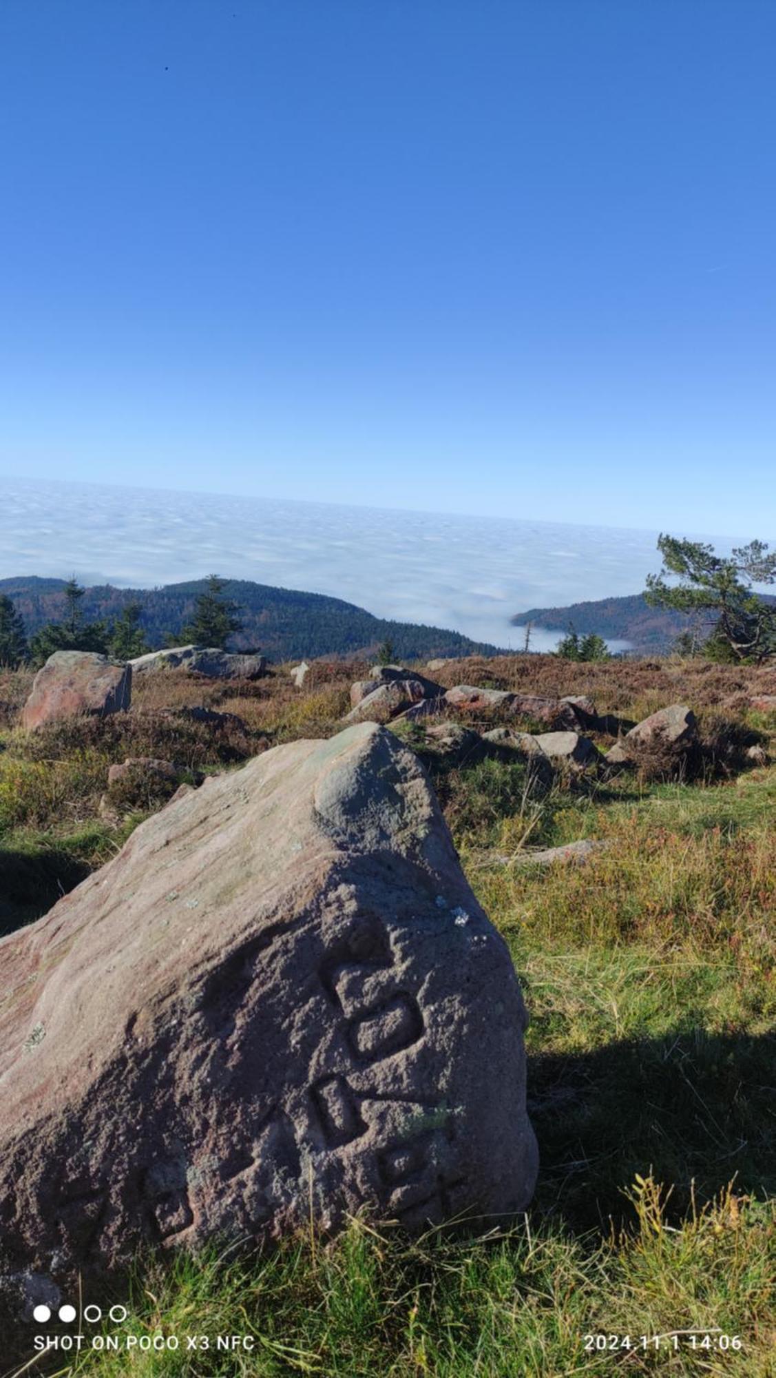 Naturblick Baiersbronn Extérieur photo